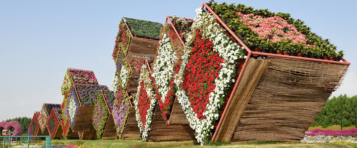 dubai miracle garden