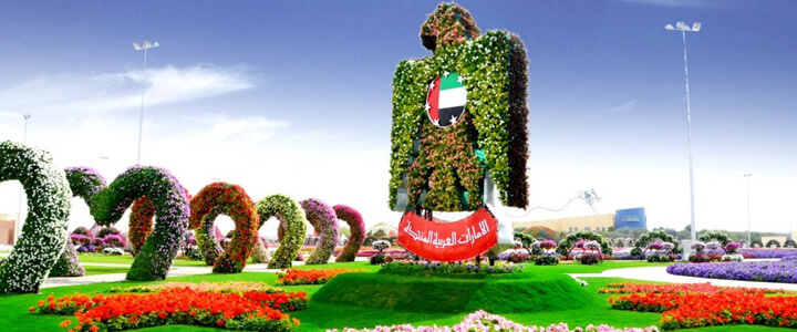dubai miracle garden
