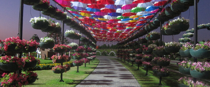 dubai miracle garden