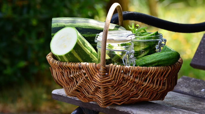 cucumber